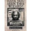Party City Decorations|Sirius Black Lenticular Plastic Cutout, 12In X 18In - Harry Potter