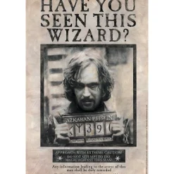 Party City Decorations|Sirius Black Lenticular Plastic Cutout, 12In X 18In - Harry Potter