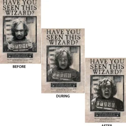 Party City Decorations|Sirius Black Lenticular Plastic Cutout, 12In X 18In - Harry Potter