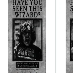 Party City Decorations|Sirius Black Lenticular Plastic Cutout, 12In X 18In - Harry Potter