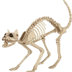 Party City Skeletons|Skeleton Cat Decoration, 18In X 10.25In