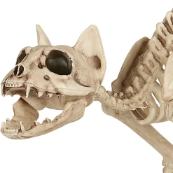 Party City Skeletons|Skeleton Cat Decoration, 18In X 10.25In