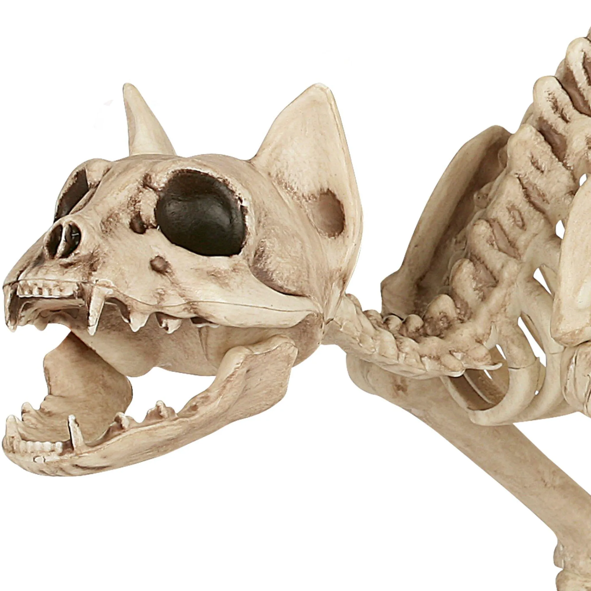 Party City Skeletons|Skeleton Cat Decoration, 18In X 10.25In