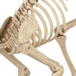 Party City Skeletons|Skeleton Cat Decoration, 18In X 10.25In