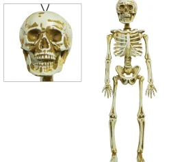 Party City Skeletons|Skeleton Decoration