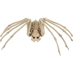 Party City Skeletons|Skeleton Spider Decoration, 21In X 12In