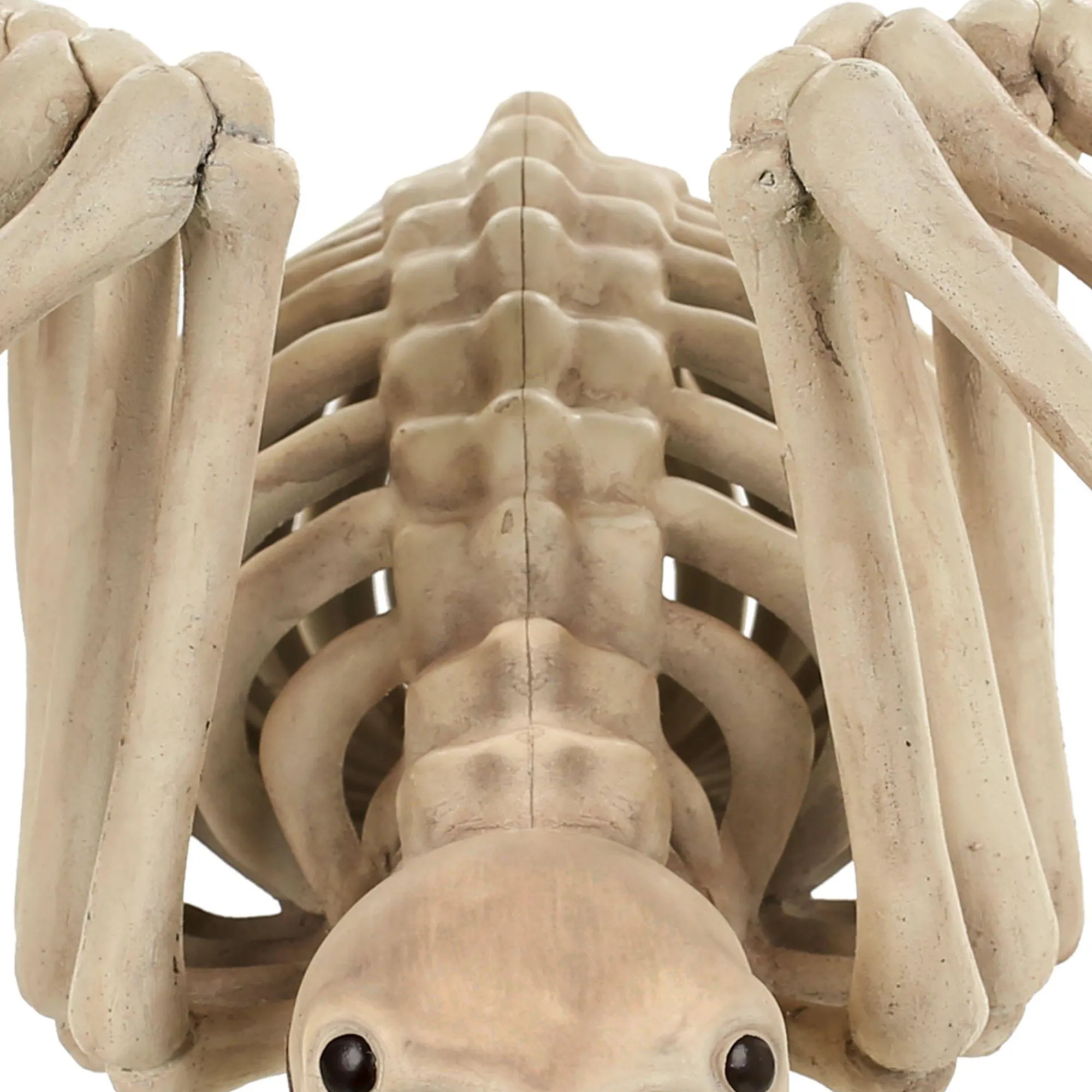 Party City Skeletons|Skeleton Spider Decoration, 21In X 12In