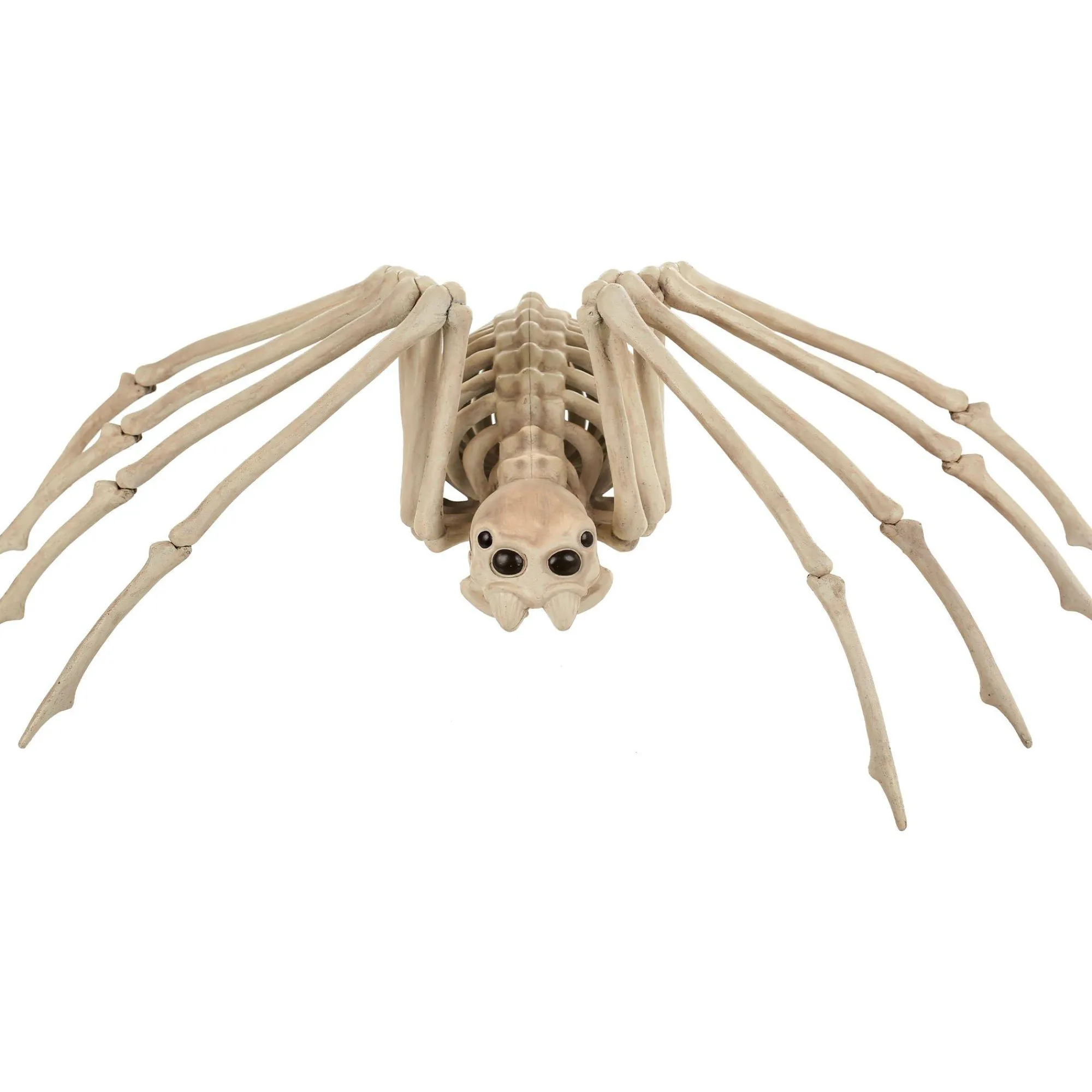 Party City Spiderweb Night|Skeleton Spider Decoration, 21In X 12In