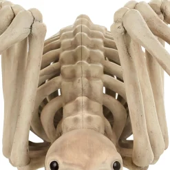 Party City Creatures|Skeleton Spider Decoration, 21In X 12In