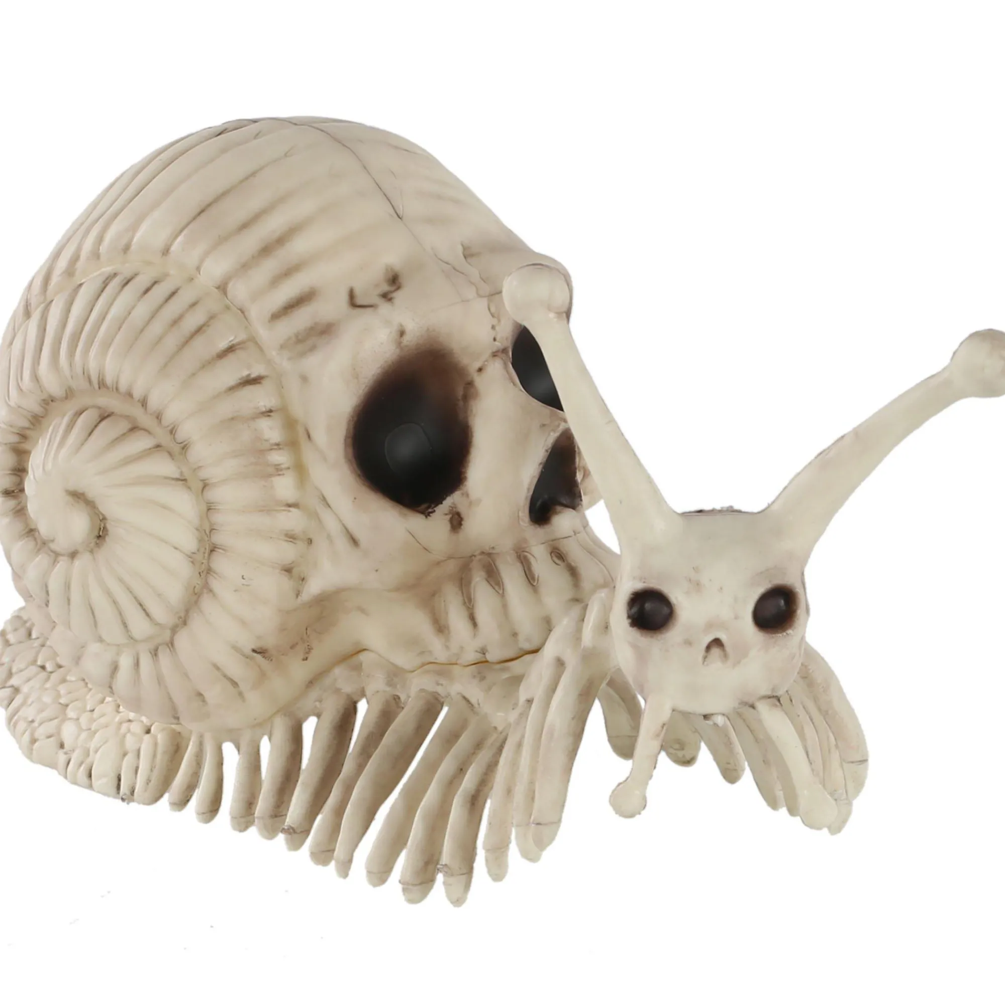 Party City Skeletons|Skull Shell Plastic Snail Skeleton, 3.9In X 8.6In