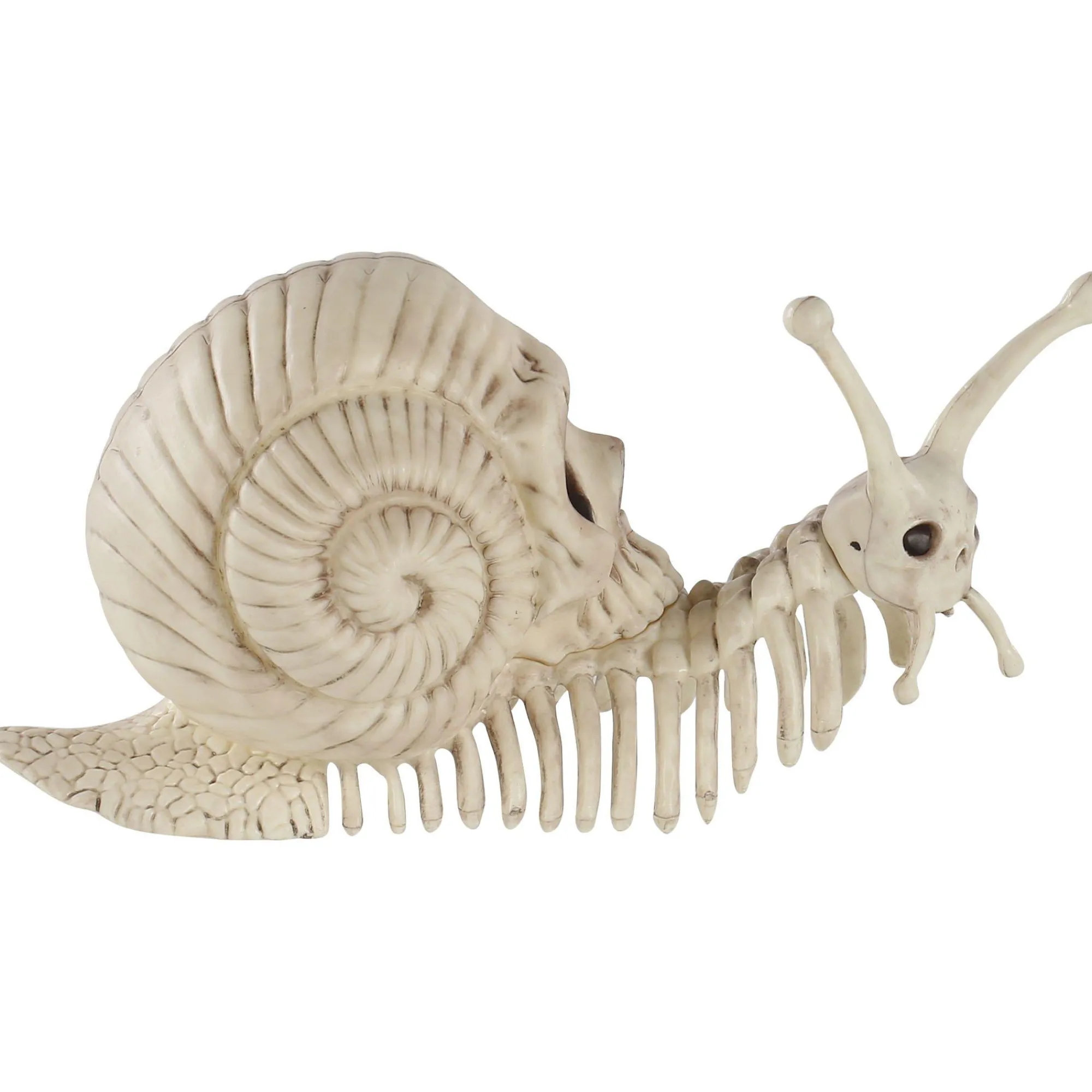 Party City Skeletons|Skull Shell Plastic Snail Skeleton, 3.9In X 8.6In