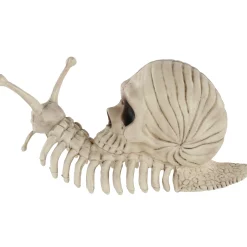 Party City Skeletons|Skull Shell Plastic Snail Skeleton, 3.9In X 8.6In