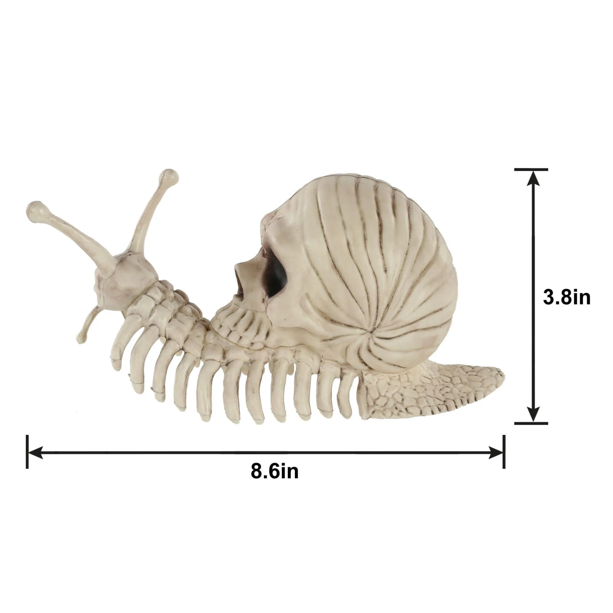 Party City Skeletons|Skull Shell Plastic Snail Skeleton, 3.9In X 8.6In