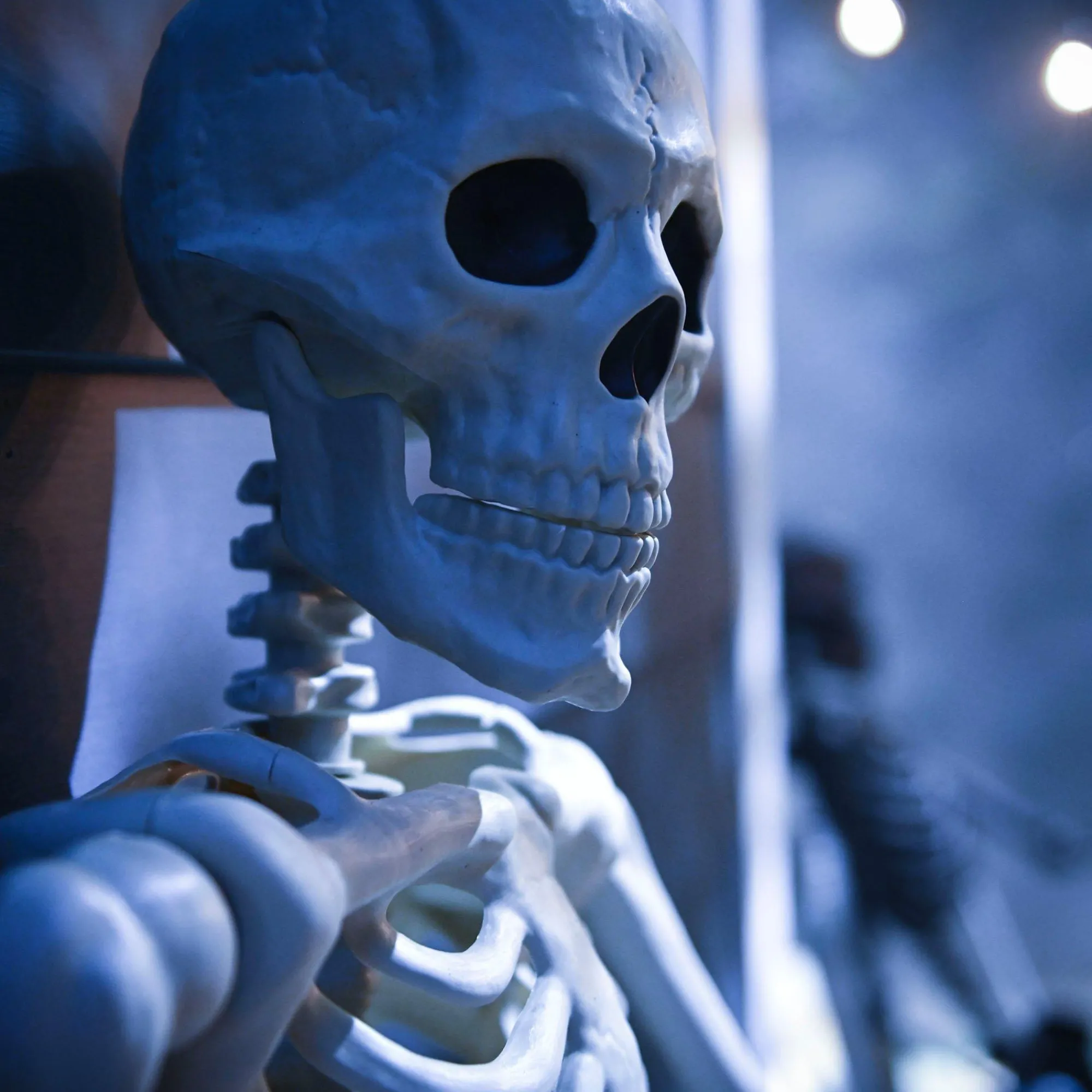 Party City Skeletons|Yorrik The Skeleton's Grave Halloween Decorating Kit